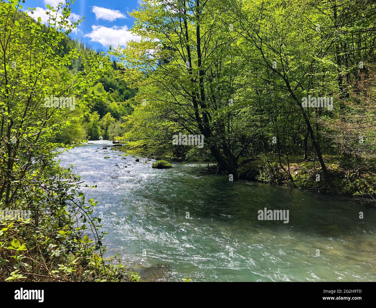 Closeup shot of a flowing river through the forest Stock Photo - Alamy