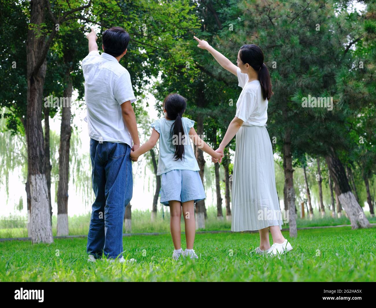 Happy family of three playing in the park high quality photo Stock ...