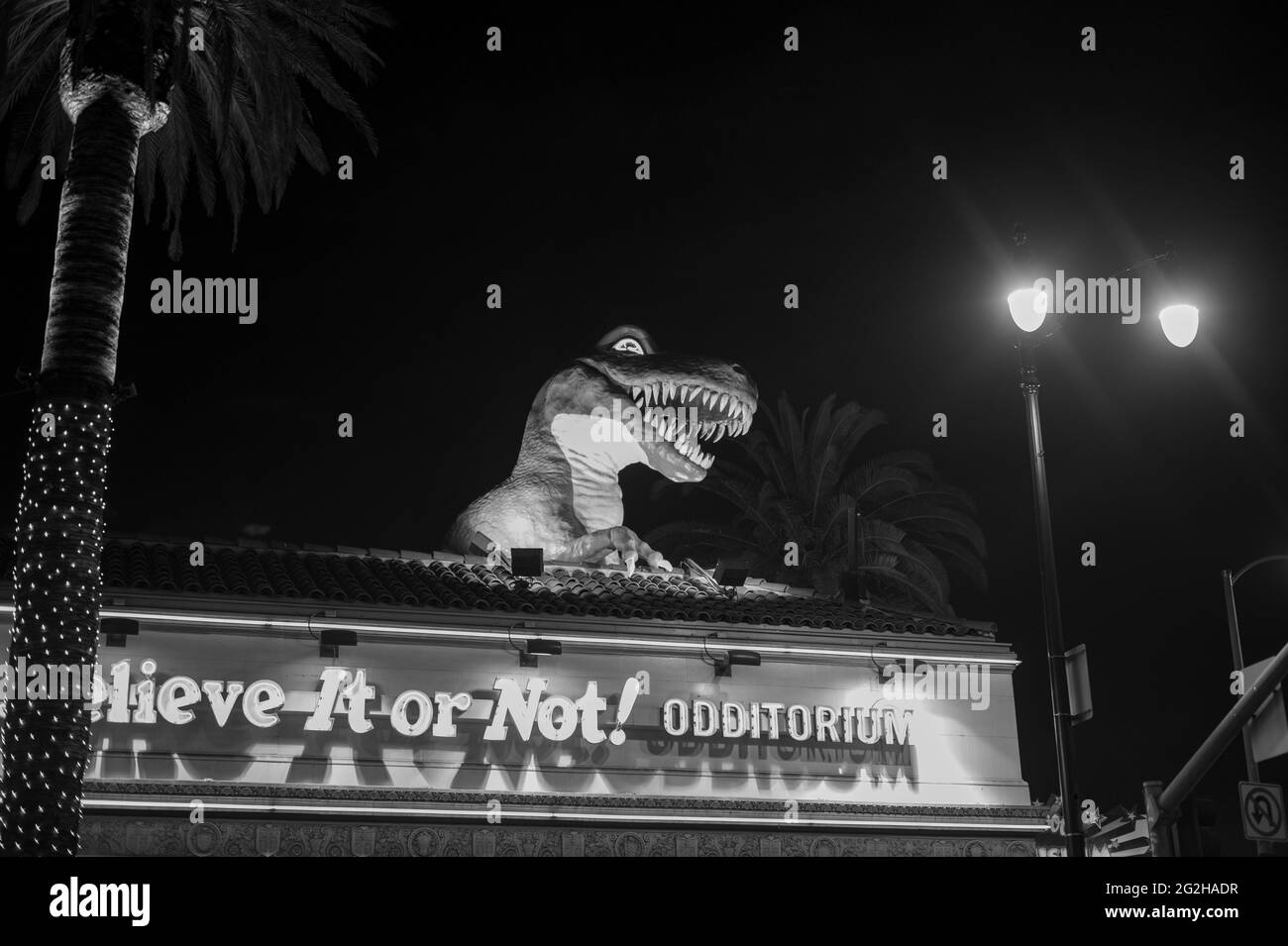 California dinosaur Black and White Stock Photos & Images - Alamy