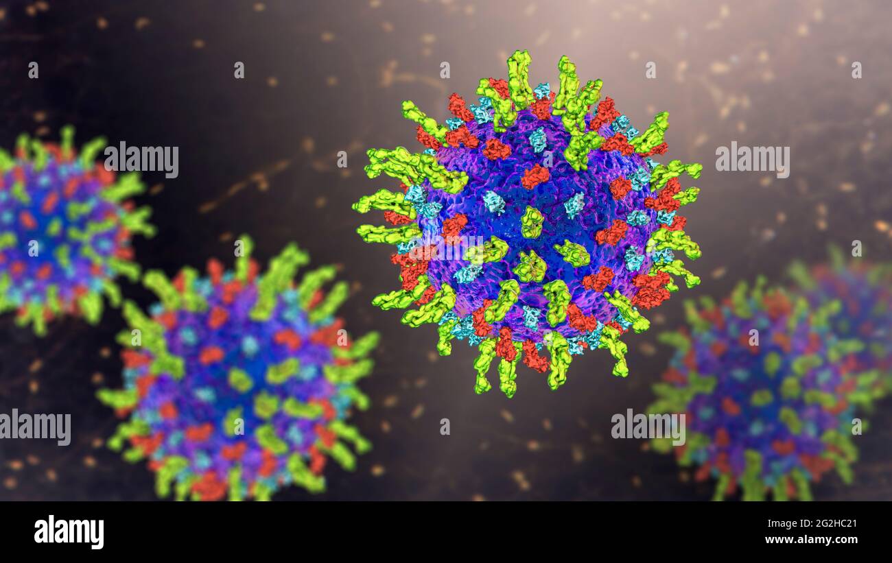 Herpes simplex virus, illustration Stock Photo