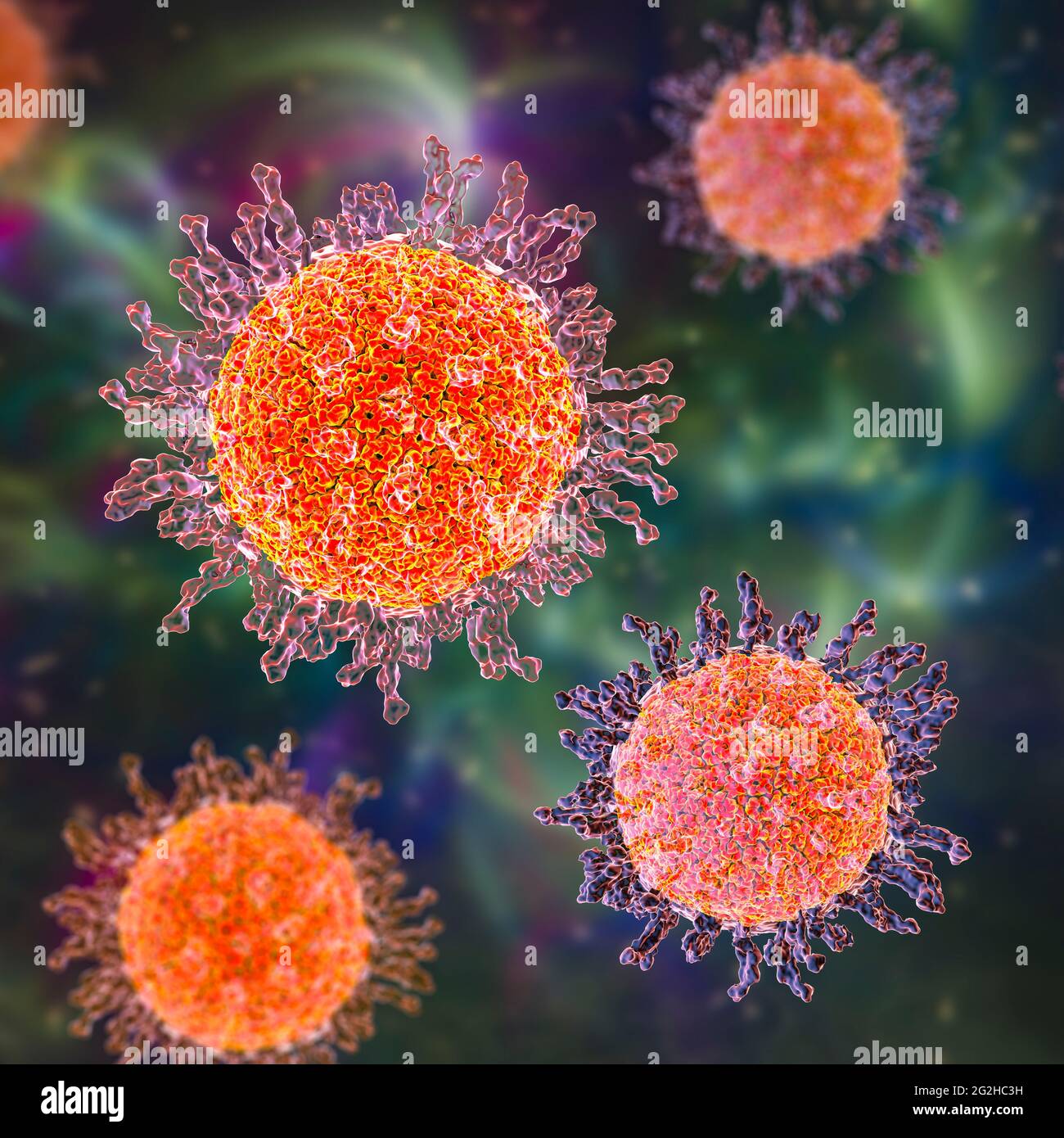 Herpes simplex virus, illustration Stock Photo