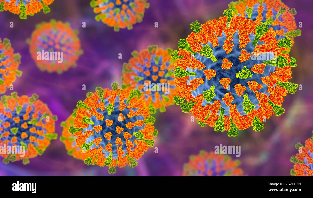 Measles virus, illustration Stock Photo