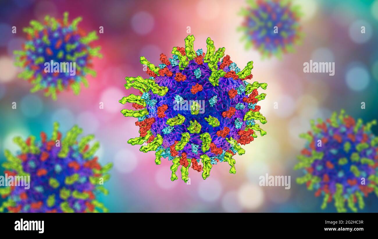 Herpes Simplex Virus, Illustration Stock Photo - Alamy