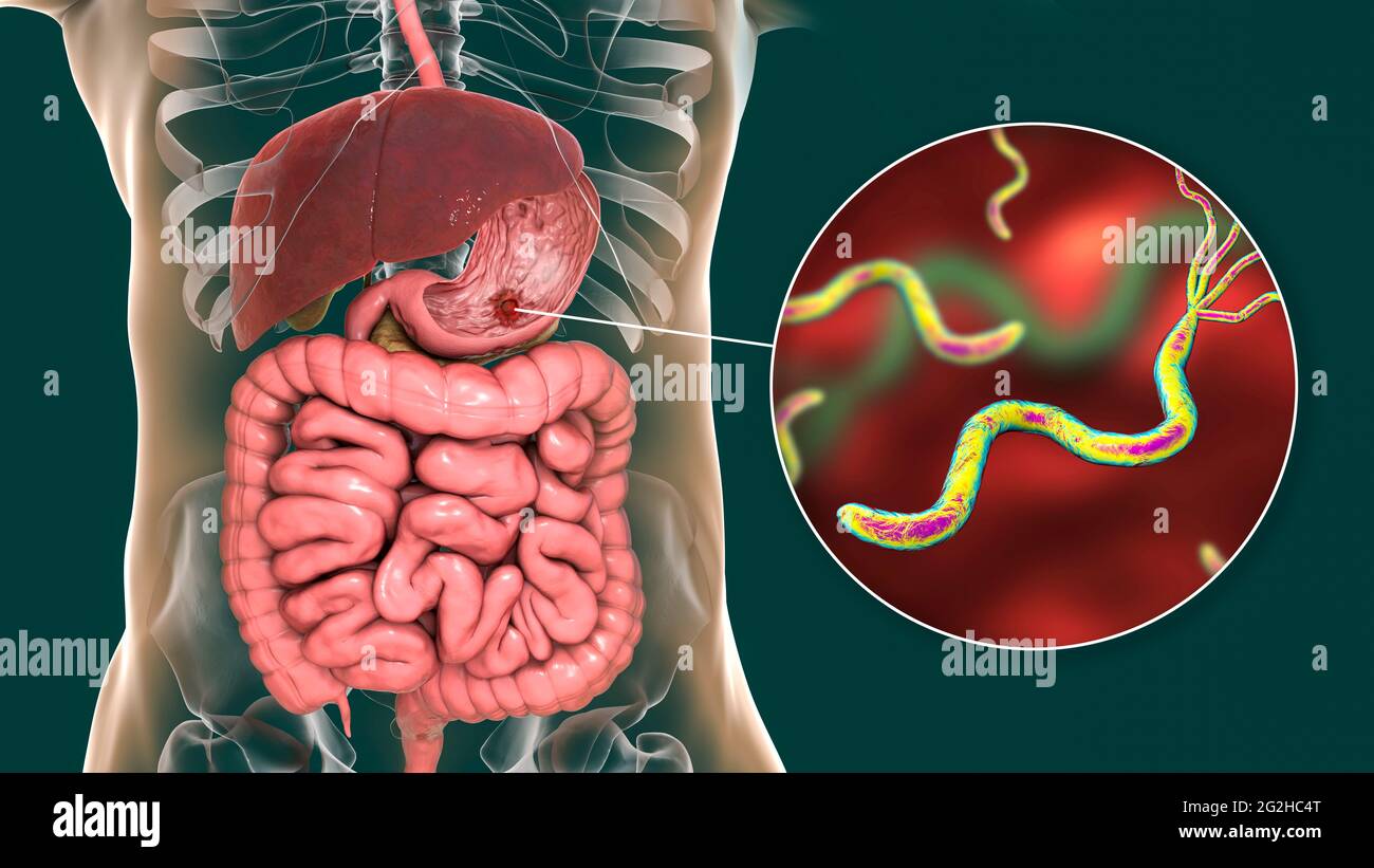 Порно, қорлау, бұрмалау, қатыгездік Орыс порно сорады кішкентай мүшесі