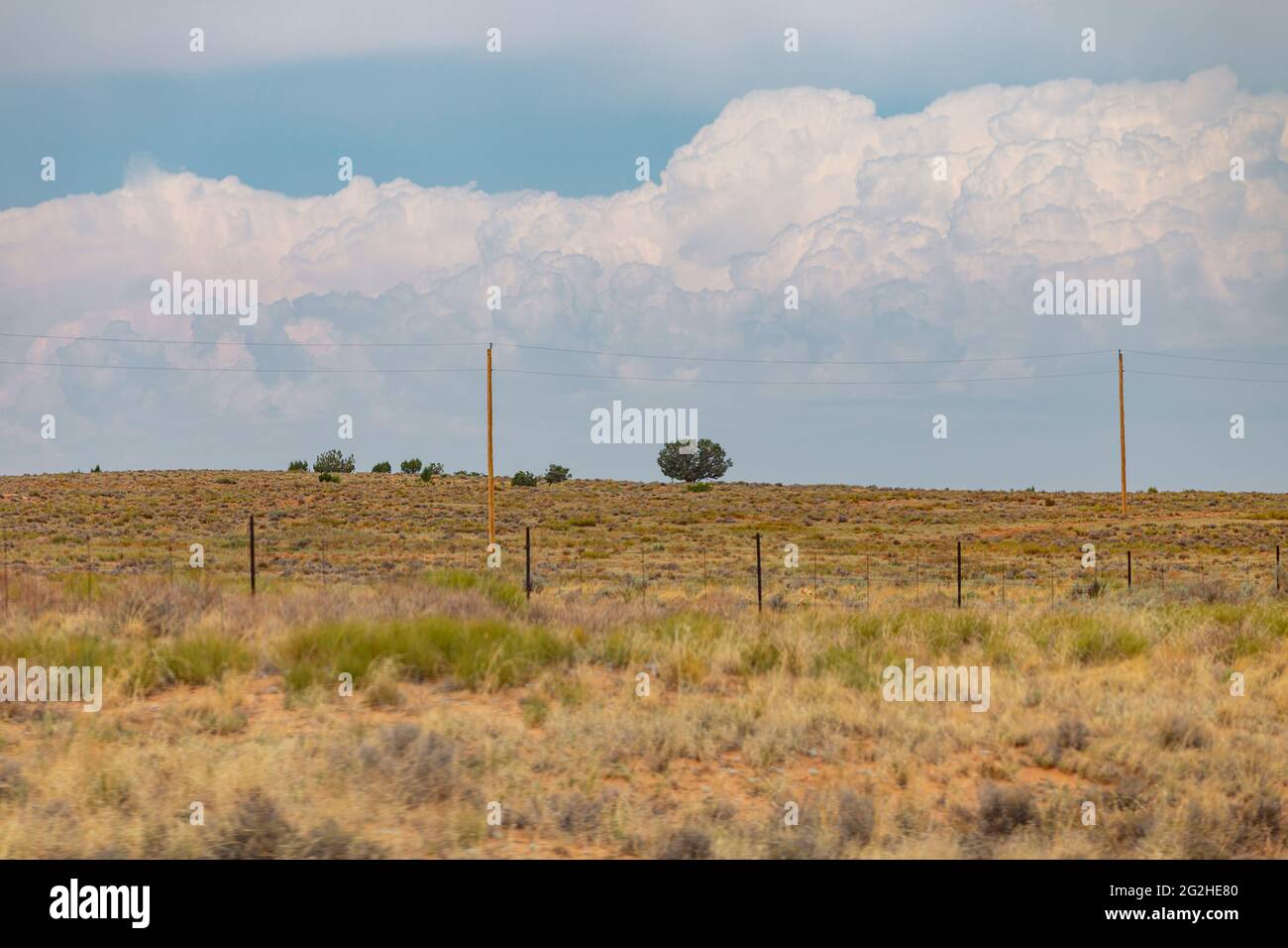 Az 98 hires stock photography and images Alamy