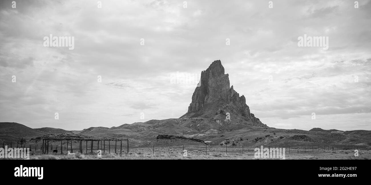 Agathla peak or El Capitan, north of Kayenta, on Navajo Land, Northen Arizona, USA. An eroded volcanic plug south of Monument Valley, is considered sacred by the Navajo. Stock Photo