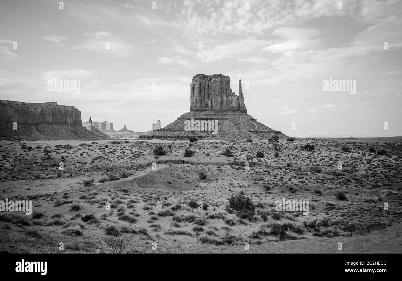 The West Mitten Buttes (also known as the Mittens) is a butten in the Monument Valley Navajo Tribal Park in northeast Navajo County, Arizona, USA. When viewed from the south, the buttes appear to be two giant mittens with their thumbs facing inwards. Stock Photo