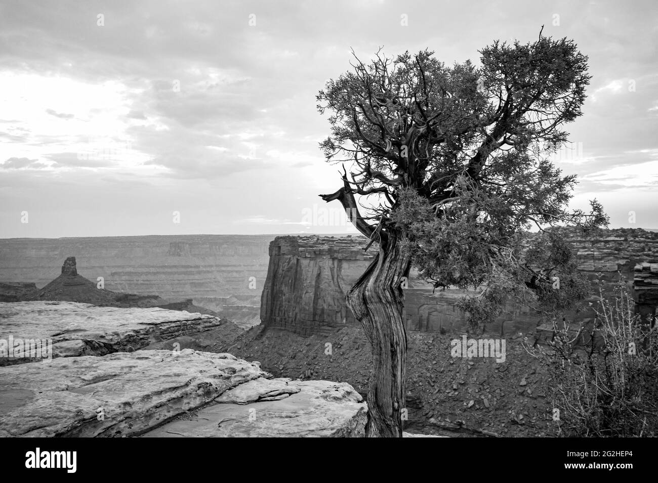 Scene at a cliff in Dead Horse State Park Stock Photo Alamy