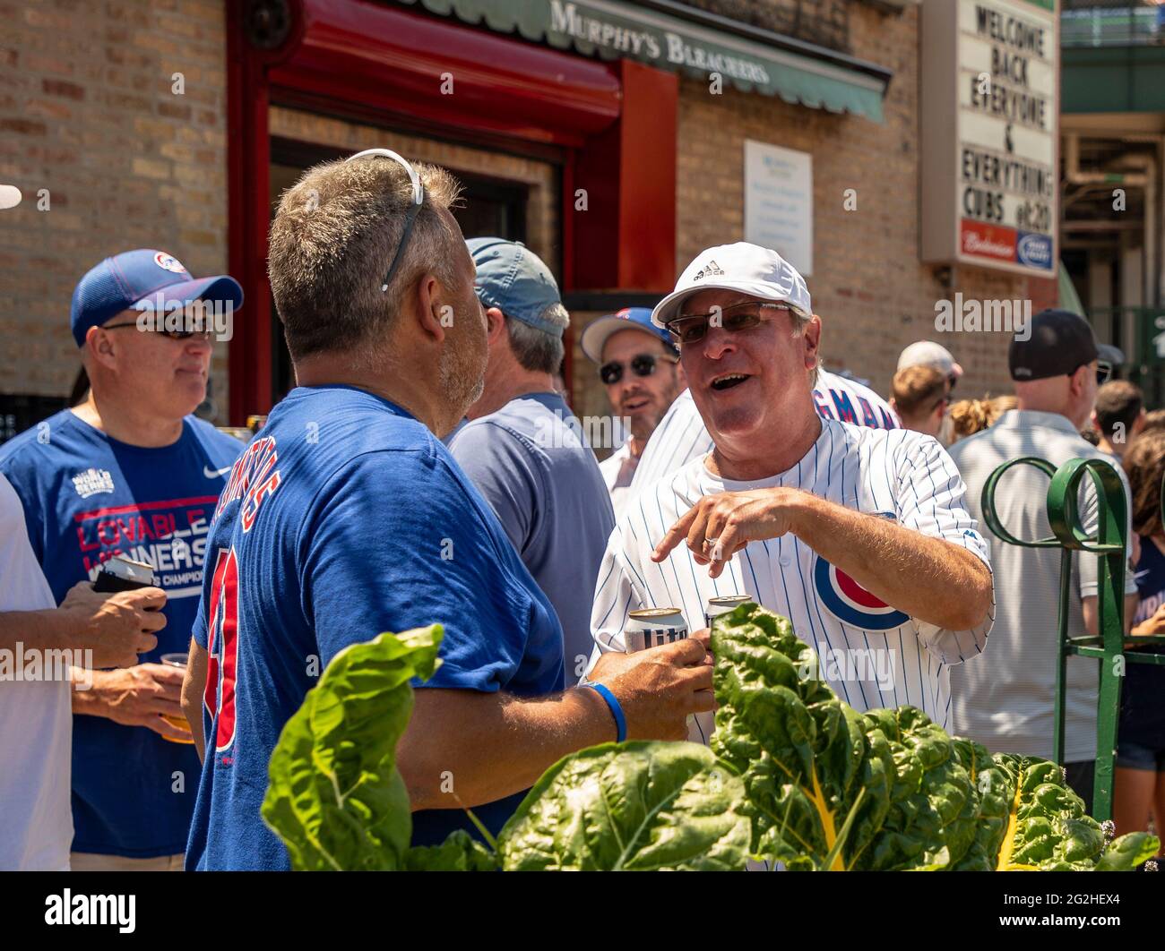 Murphy’s bleachers chicago hires stock photography and images Alamy