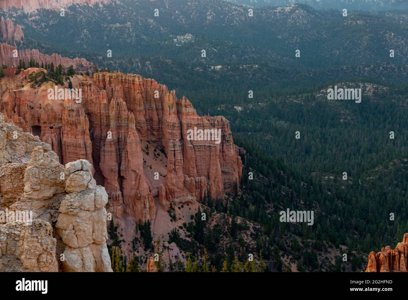 Rainbow Point - a National park peak with red & pink cliffs & rock formations, spruce & fir forest & hiking trails. Bryce Canyon National Park, Utah, USA Stock Photo