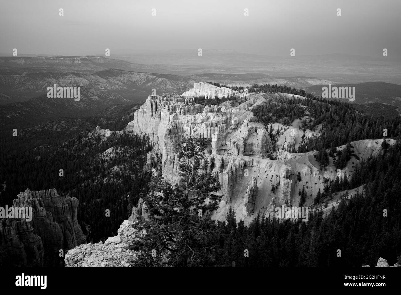 Rainbow Point - a National park peak with red & pink cliffs & rock formations, spruce & fir forest & hiking trails. Bryce Canyon National Park, Utah, USA Stock Photo