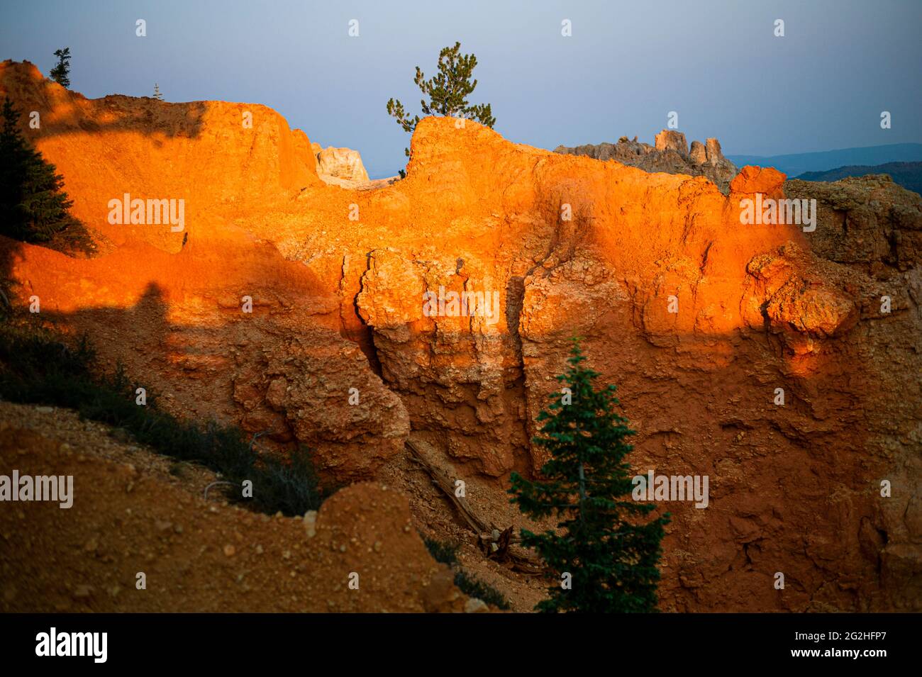 Natural Bridge, a massive 85-ft. red-rock arch carved out of sedimentary red rock by geologic forces over millions of years. Bryce Canyon National Park, Utah, USA Stock Photo