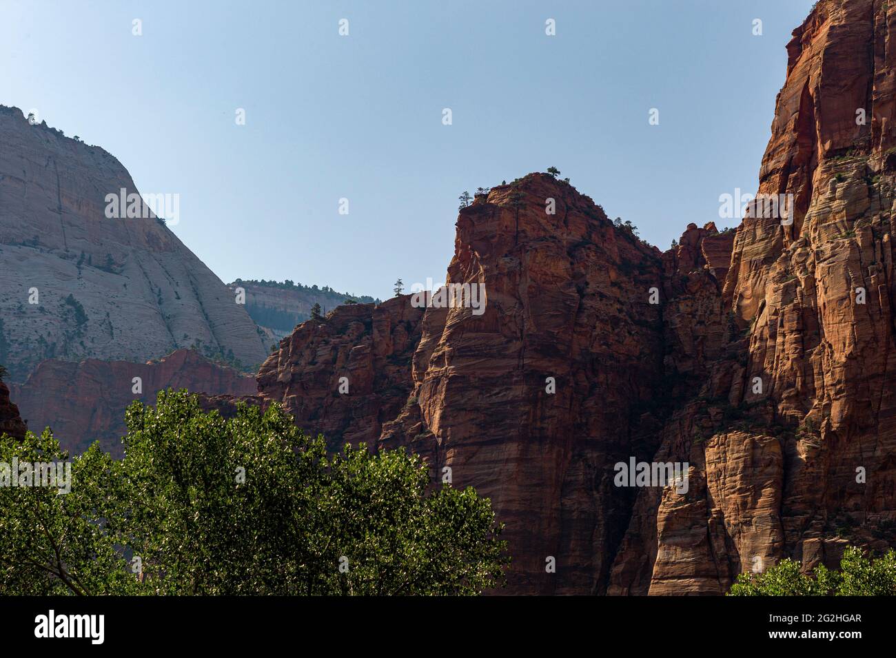 In zion national park hi-res stock photography and images - Alamy