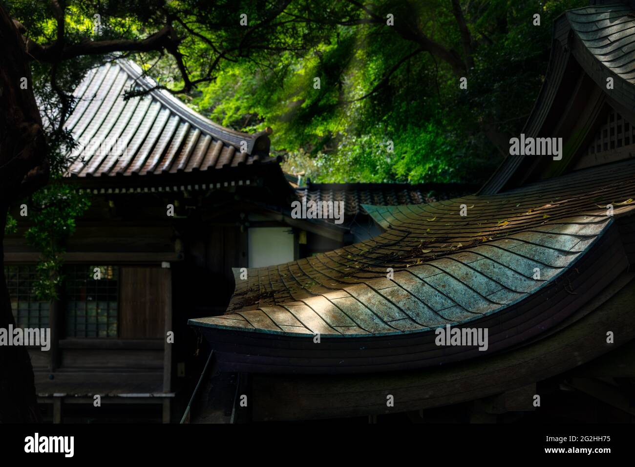 Sun hits the rooftops of the a temple in Kamakura, Japan Stock Photo