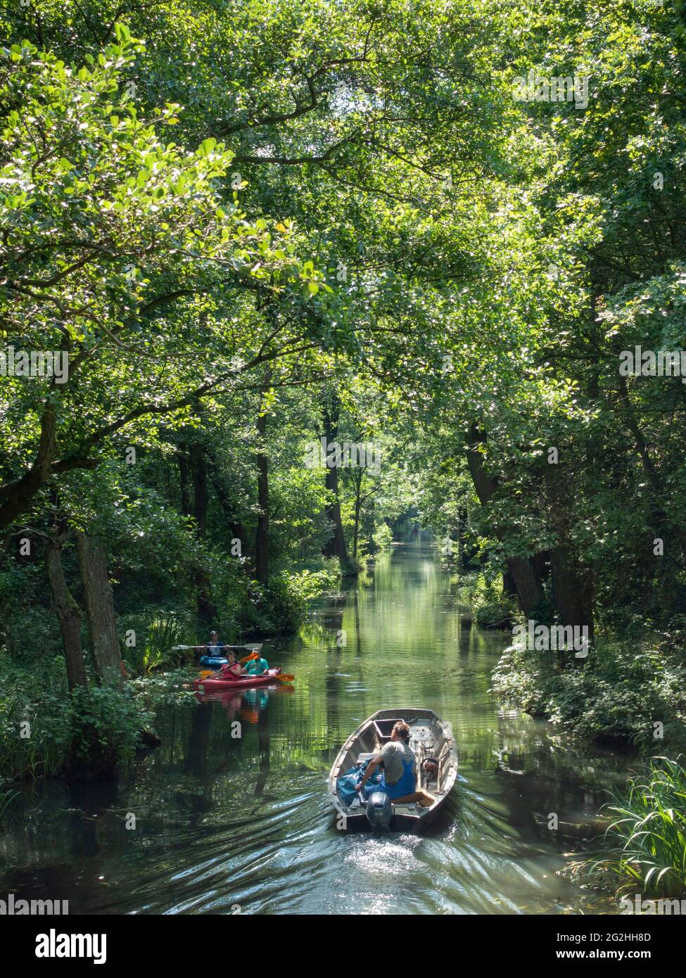 Barge a canal, Inner Spreewald near Lübbenau, Biosphere Reserve, Brandenburg, Germany Stock Photo