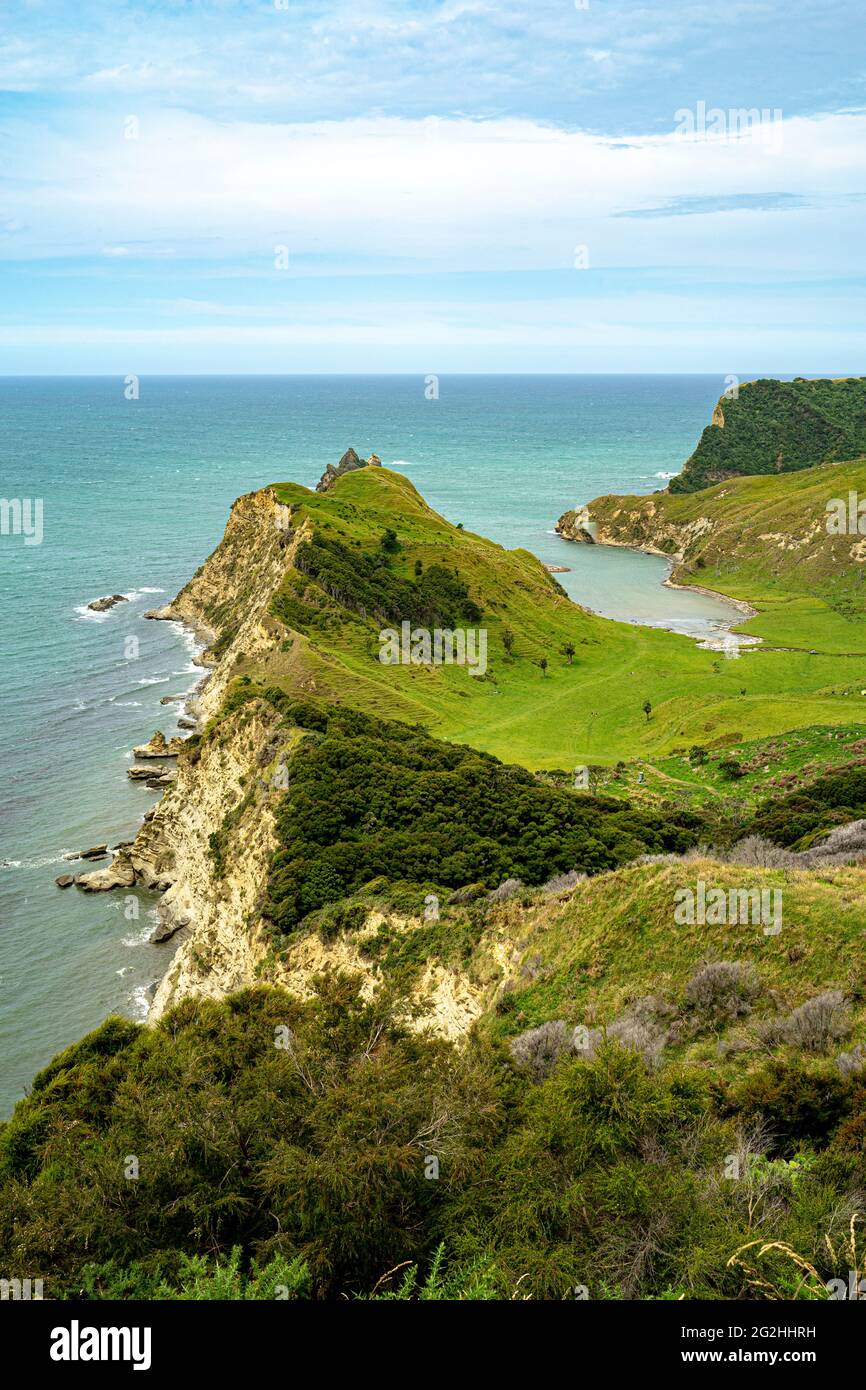 Cook's Cove in Tolaga Bay, trek to the bay, Captain Cook interrupted