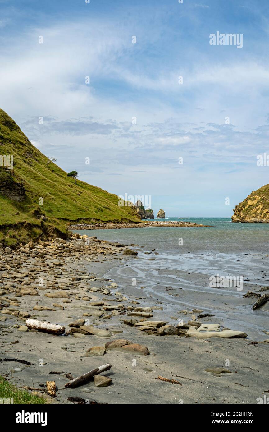 Cook's Cove in Tolaga Bay, trek to the bay, Captain Cook interrupted his voyage in 1769 to repair the Endeavor and take fresh supplies on board., Gisborne District, North Island New Zealand Stock Photo