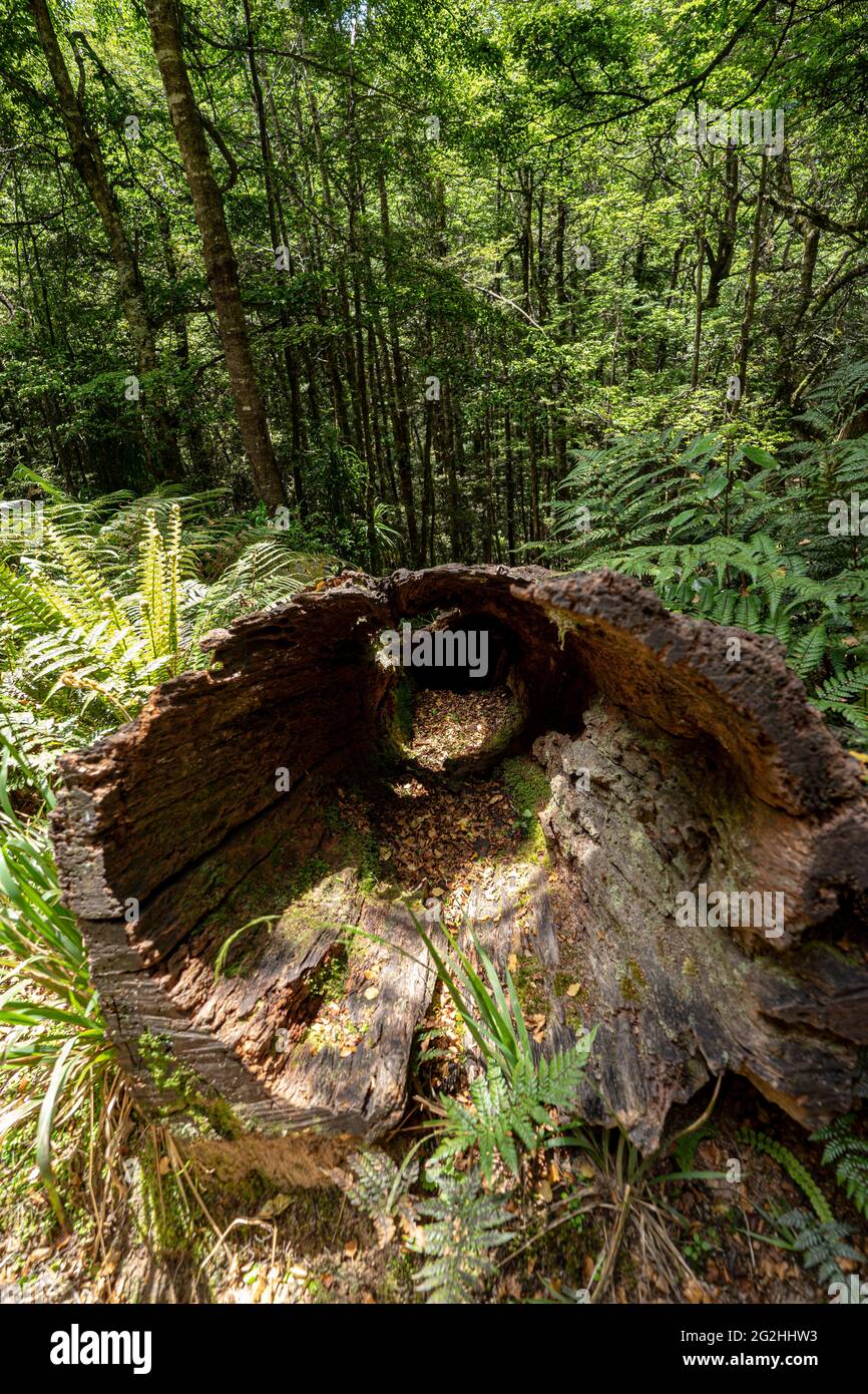 Snag island hires stock photography and images Alamy