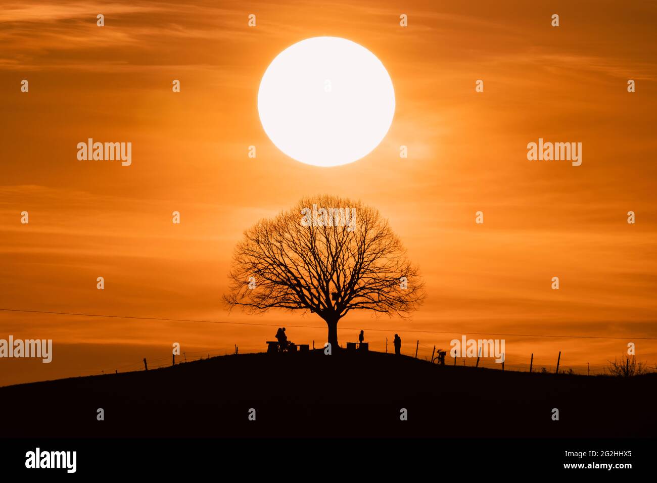 Sunset, tree, silhouettes, Swabian Alb, Baden-Wuerttemberg, Germany, Europe Stock Photo