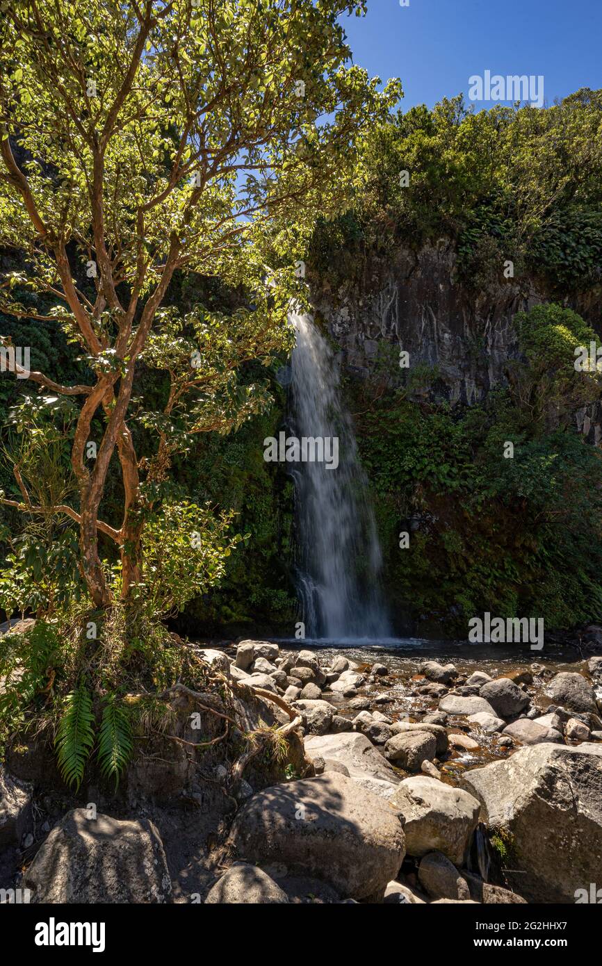 Dawson Falls, waterfalls on Mount Taranaki, New Plymouth Province, North Island, New Zealand Stock Photo