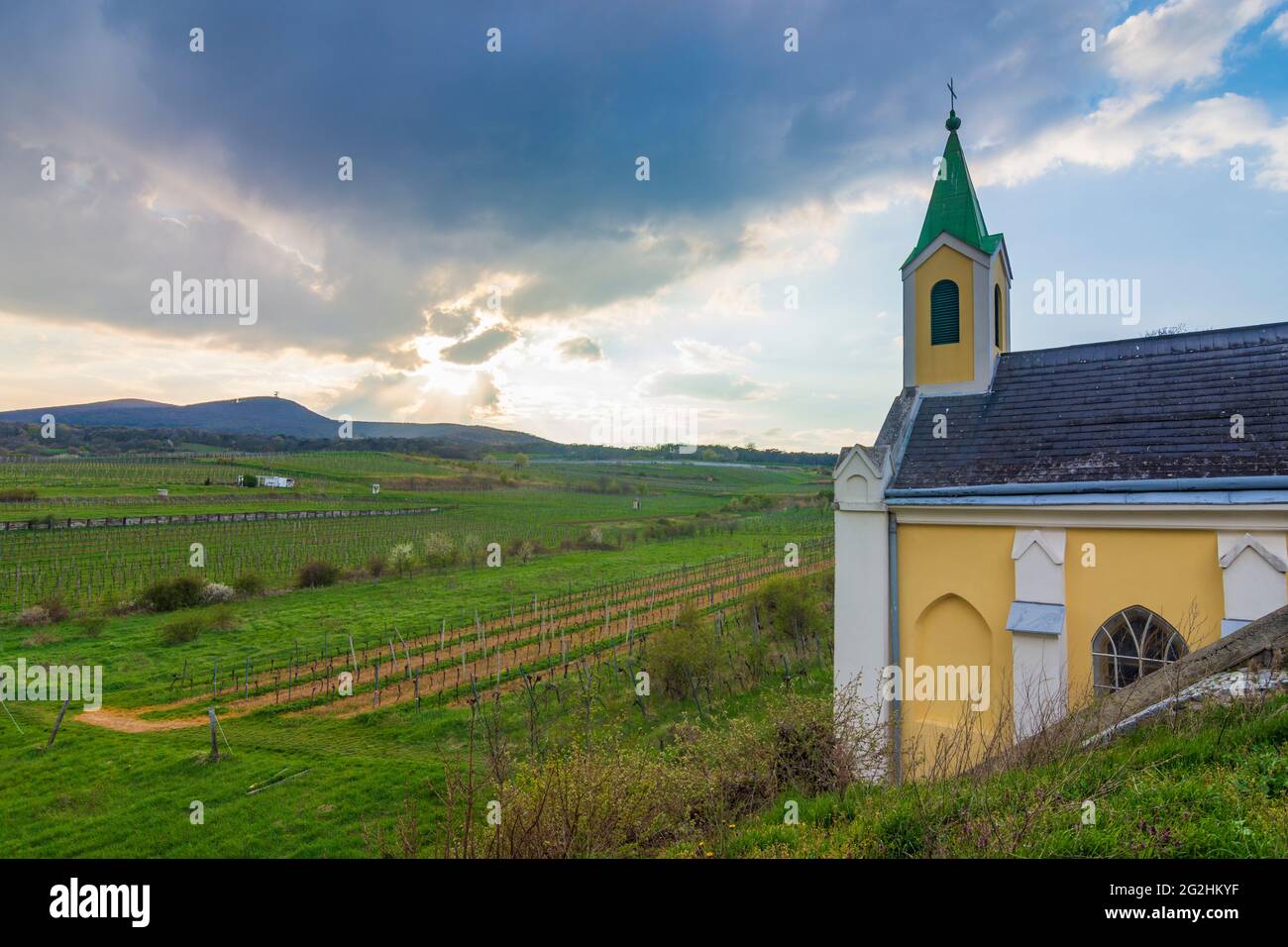 Guntramsdorf, chapel Weingartenkapelle, vineyard, mountain Anninger in Wienerwald / Vienna Woods, Niederösterreich / Lower Austria, Austria Stock Photo