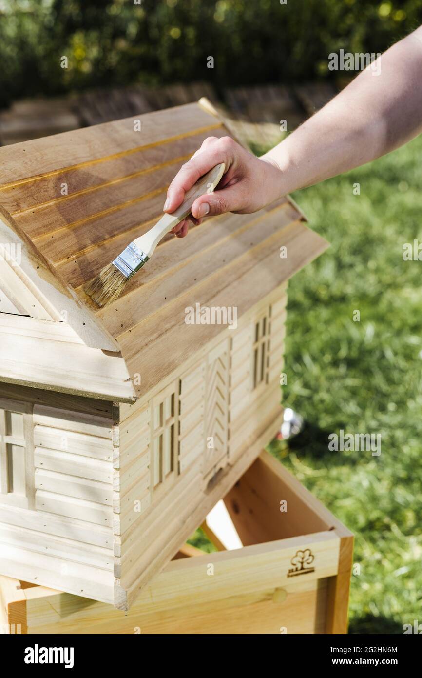 Organic beekeeper paints beehives with linseed oil Stock Photo Alamy