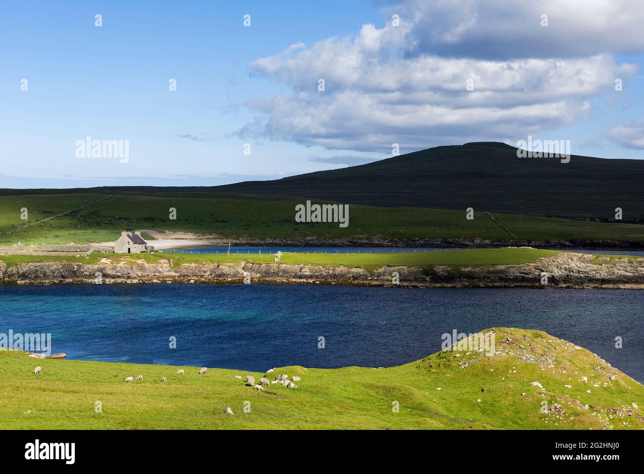 Coast at Noss Sound between the islands of Bressay and Noss, view to the island of Noss, Scotland, Shetland Islands Stock Photo