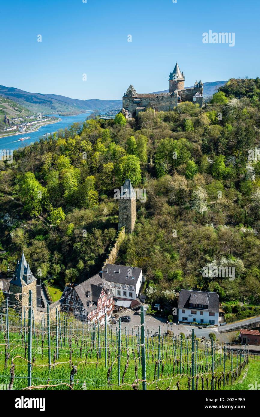 Bacharach, castle, castle trail, youth hostel, church, market tower, Middle Rhine, coin, Upper Middle Rhine Valley, post tower, Rhine, shipping, summer, St. Peter, city towers, Stahleck, Steeg, Steeger valley, world heritage, world cultural heritage, Werner chapel Stock Photo