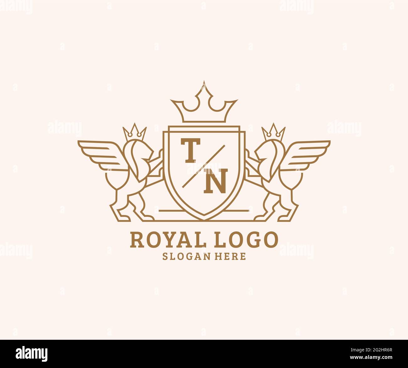 Letter TN vector logo design symbol icon emblem 6876801 Vector Art