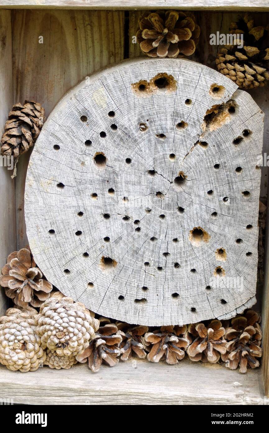 Disk cones hi-res stock photography and images - Alamy