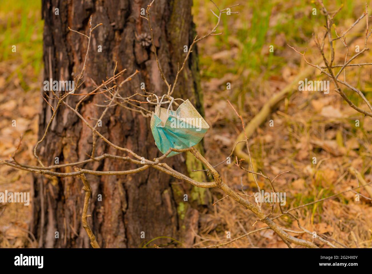 OP Mask in the Forest in Times of the Covid-19 Pandemic Stock Photo