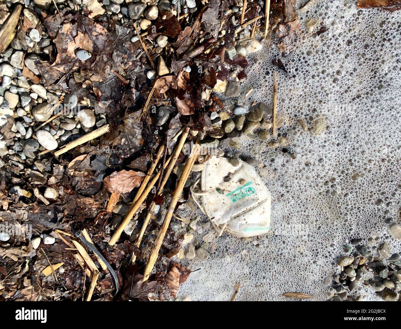 An FFP2 mask lies in the water on the bank Stock Photo