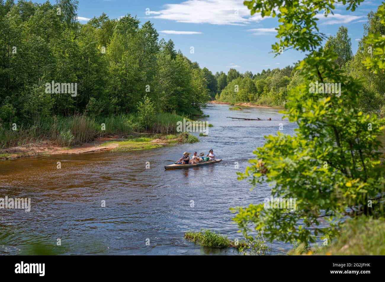 Adventuresome friends canoeing together on a beautiful river in a thick forest. Canoeing down beautiful river in Forest. canoe trip on the river in th Stock Photo