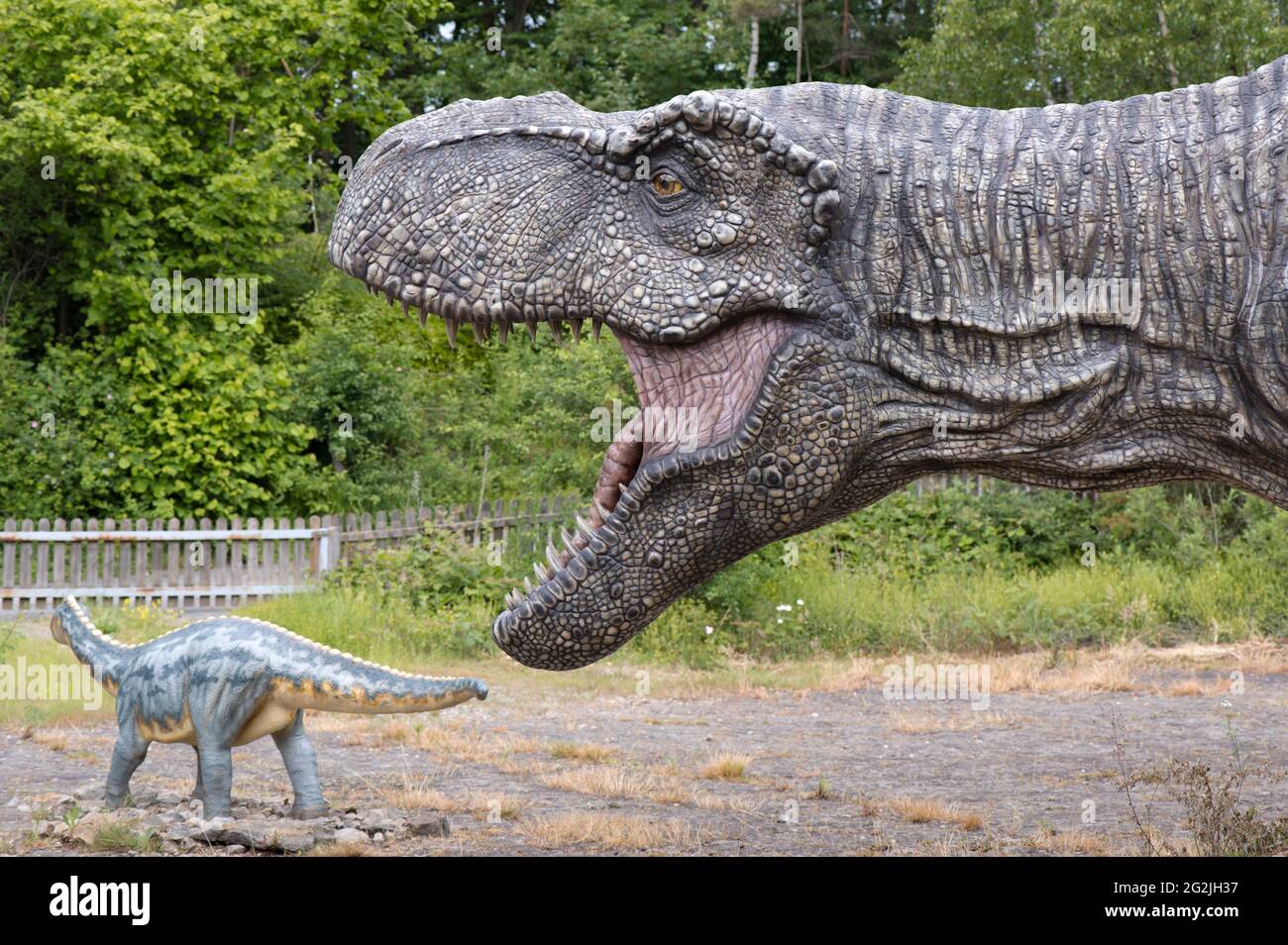 Dinosaur Tyrannosaurus as a model in Dinopark Münchehagen near Hanover