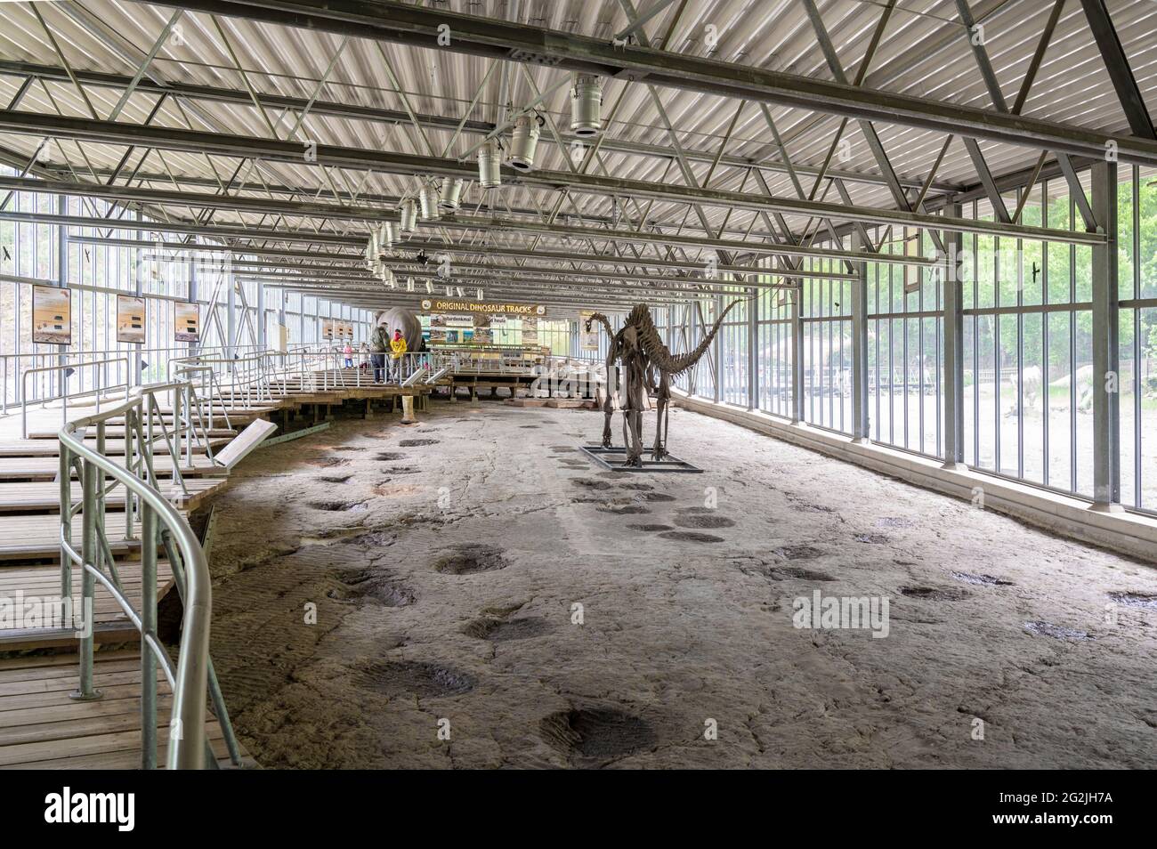 The dinosaur track hall of the Dinopark Münchehagen near Hanover. The real dinosaur tracks of the dinosaurs Iguanodon, Neovenator and of sauropods are around 139 million years old (Lower Cretaceous Period) and were built over with a hall to protect them from the weather. Stock Photo