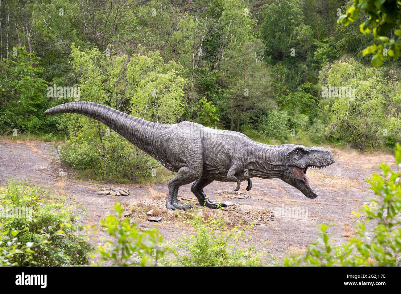 Dinosaur Tyrannosaurus as a model in Dinopark Münchehagen near Hanover. Lived in North America about 66 million years ago, was about 13m long and weighed 6t. Model: Wild Creations UK / Universal Pictures DE [M] Disturbing other dinosaurs, people and buildings have been retouched. Stock Photo