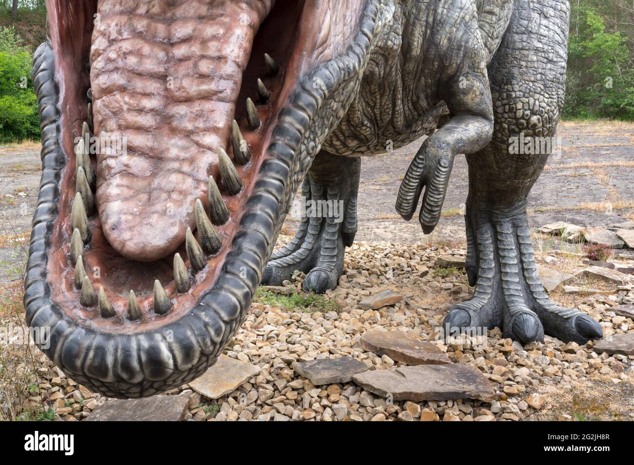 Dinosaur Tyrannosaurus as a model in Dinopark Münchehagen near Hanover. Lived in North America about 66 million years ago, was about 13m long and weighed 6t. Model: Wild Creations UK / Universal Pictures DE Stock Photo