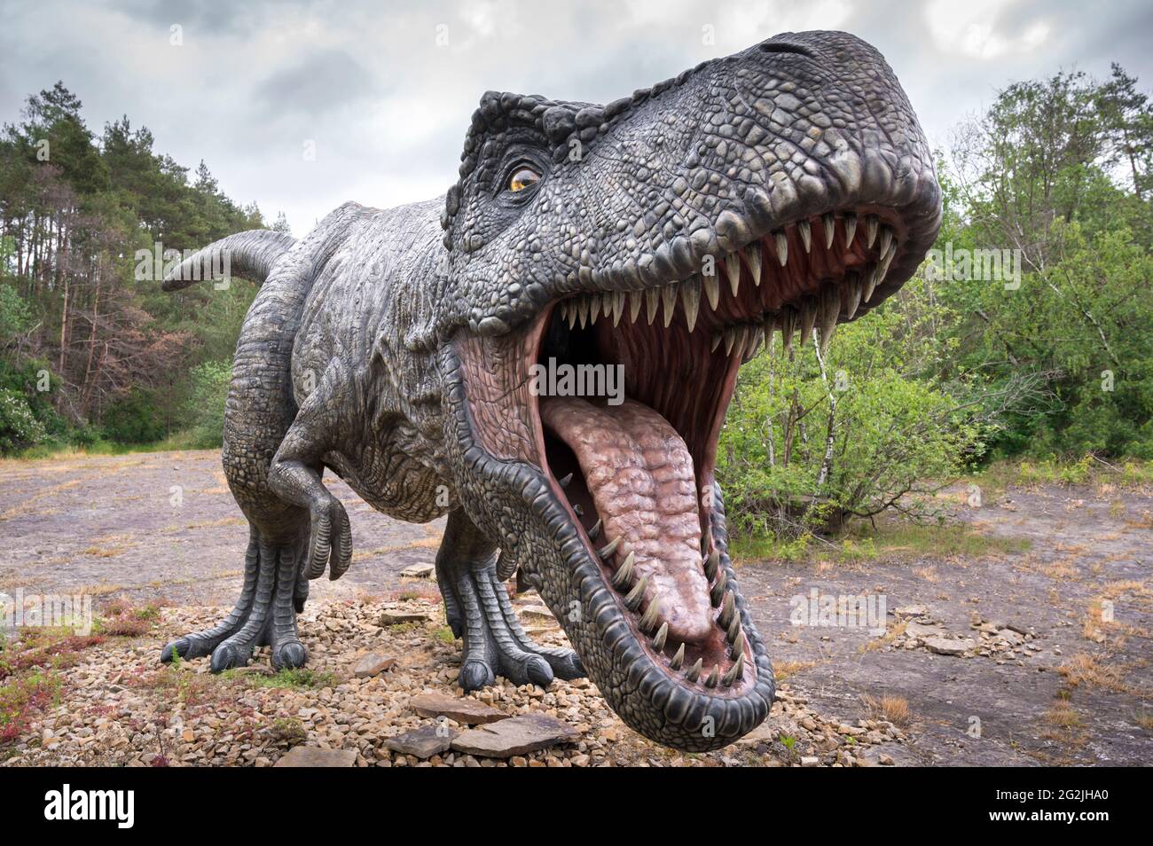 Dinosaur Tyrannosaurus as a model in Dinopark Münchehagen near Hanover. Lived in North America about 66 million years ago, was about 13m long and weighed 6t. Model: Wild Creations UK / Universal Pictures DE [M] Disturbing other dinosaurs have been retouched. Stock Photo