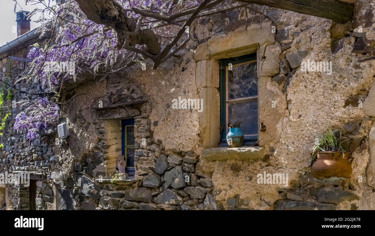 Window with wisteria in Le Priou in spring. Stock Photo