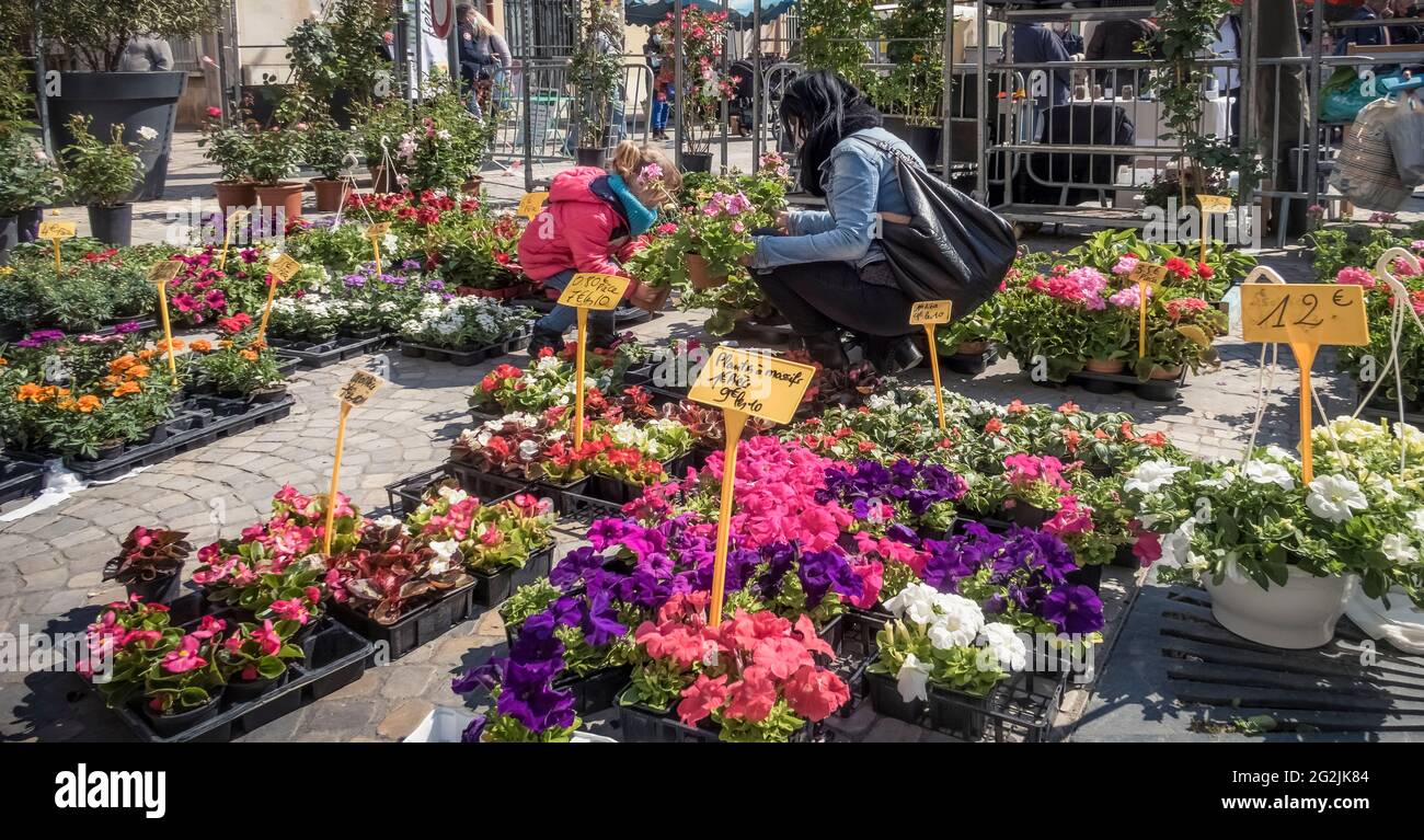 Flower market in Coursan in spring. Stock Photo
