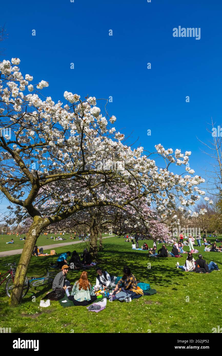 England, London, Regent's Park, Group of Young People Picnicking under Cherry Blossom Stock Photo
