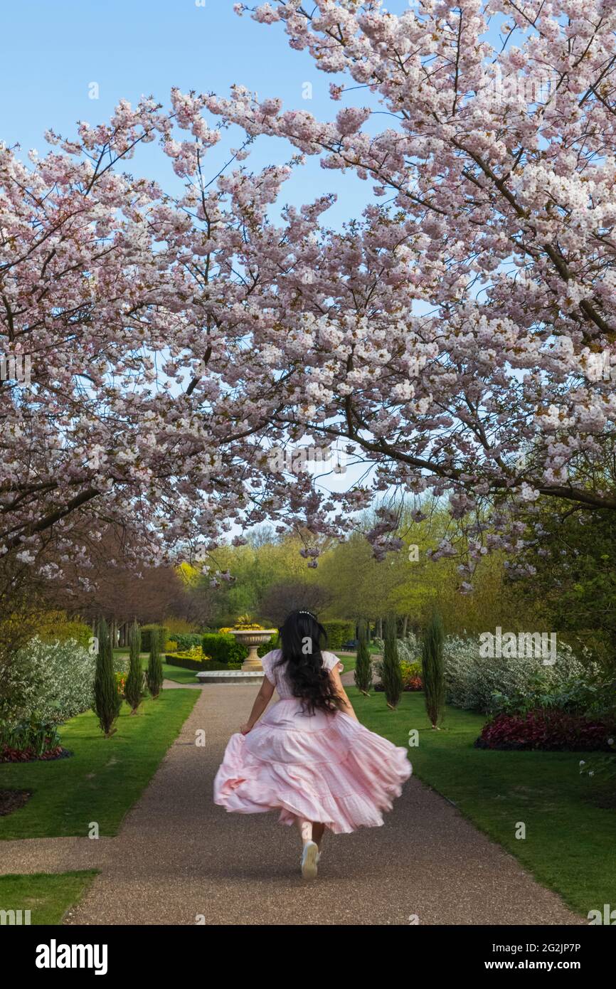 England, London, Regent's Park, Avenue Gardens, Woman in Pink Dress Runnimg Through Avenue of nCherry Blossom Trees in Bloom Stock Photo