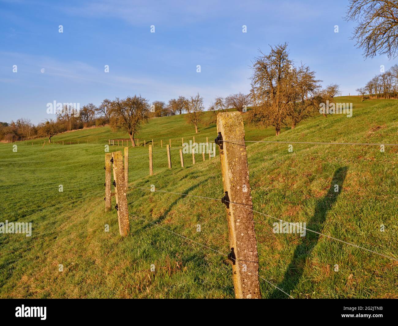 Meadow, pasture, grassland, fence, slope, mountain, hill, hilly landscape, cultural landscape, tree, group of trees Stock Photo