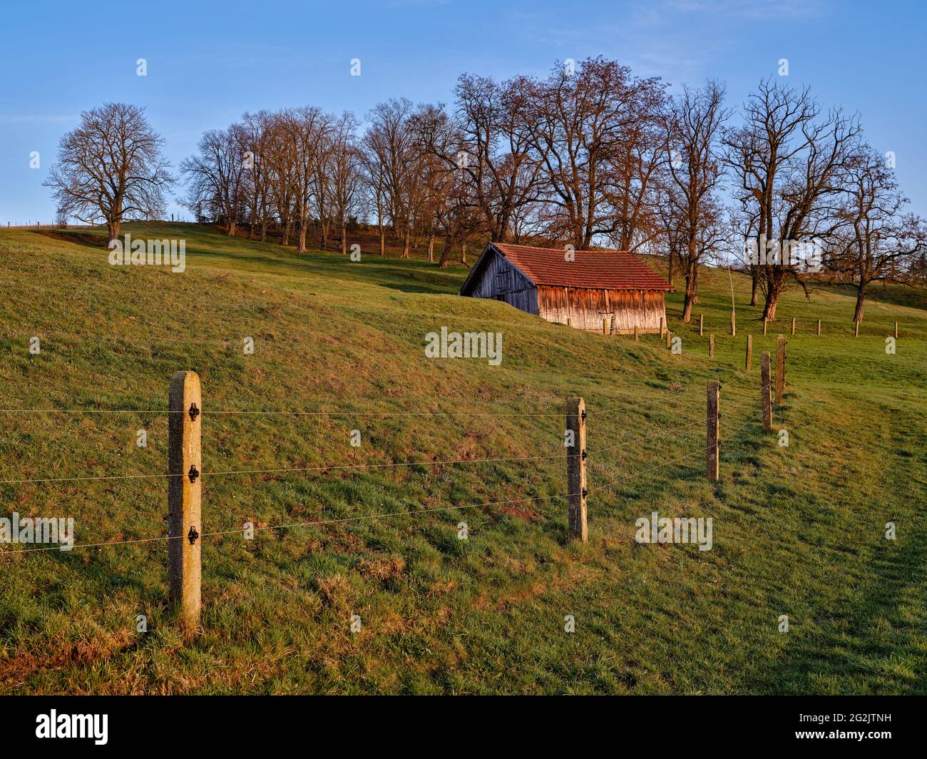 Meadow, pasture, grassland, fence, slope, mountain, hill, hilly landscape, cultural landscape, tree, group of trees Stock Photo