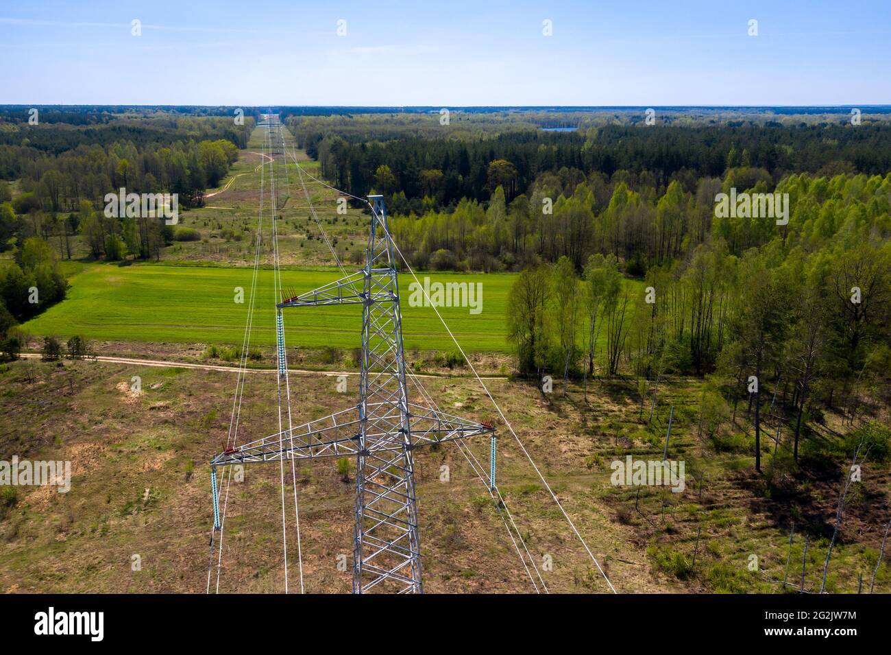 High-voltage power lines in the middle of a felled forest Stock Photo ...
