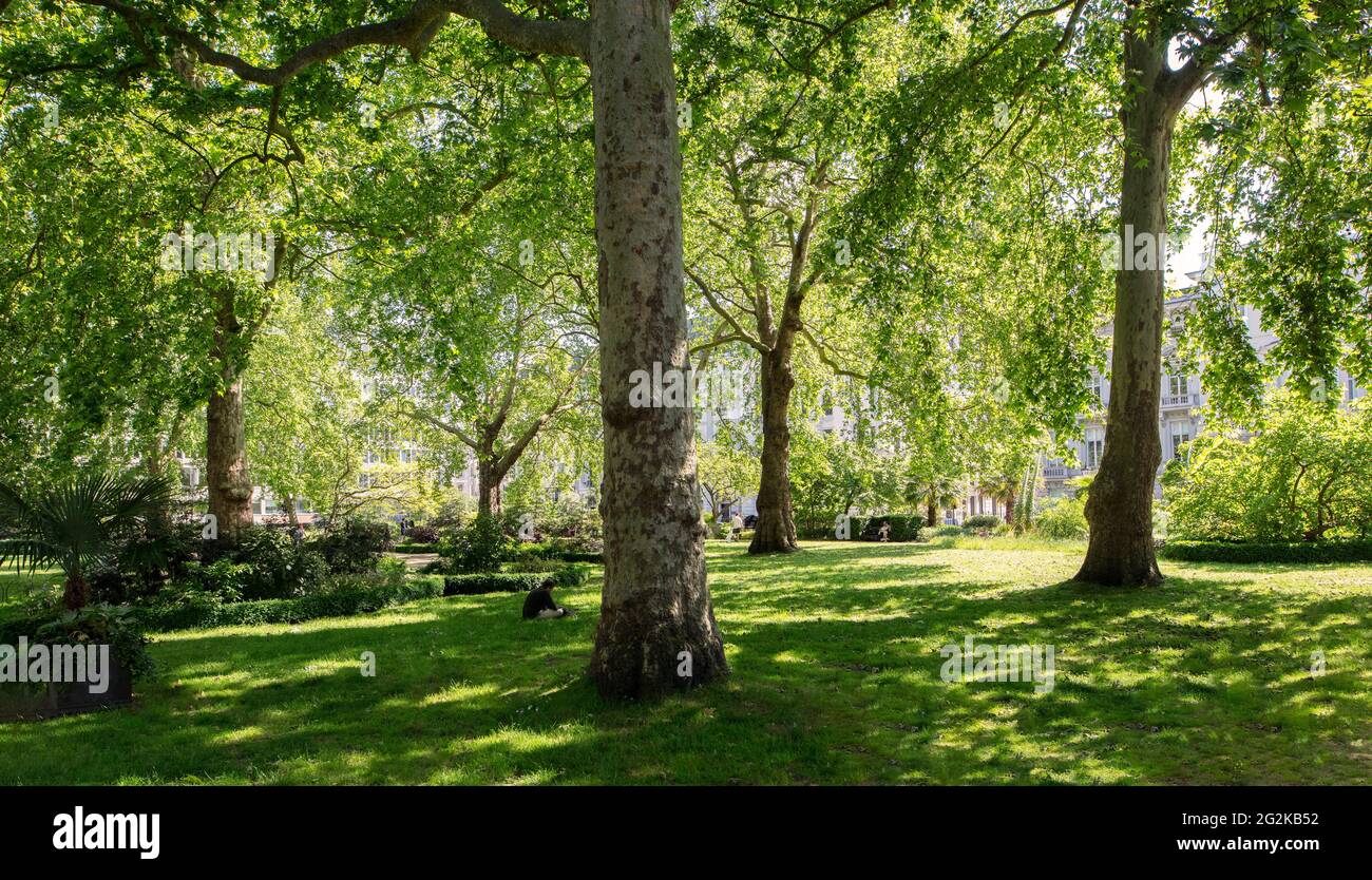 Chatham garden hi-res stock photography and images - Alamy