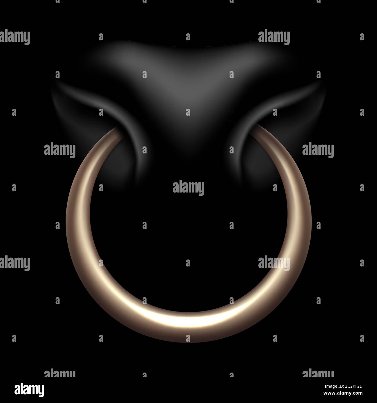 Bull cow head nose ring hi-res stock photography and images - Alamy