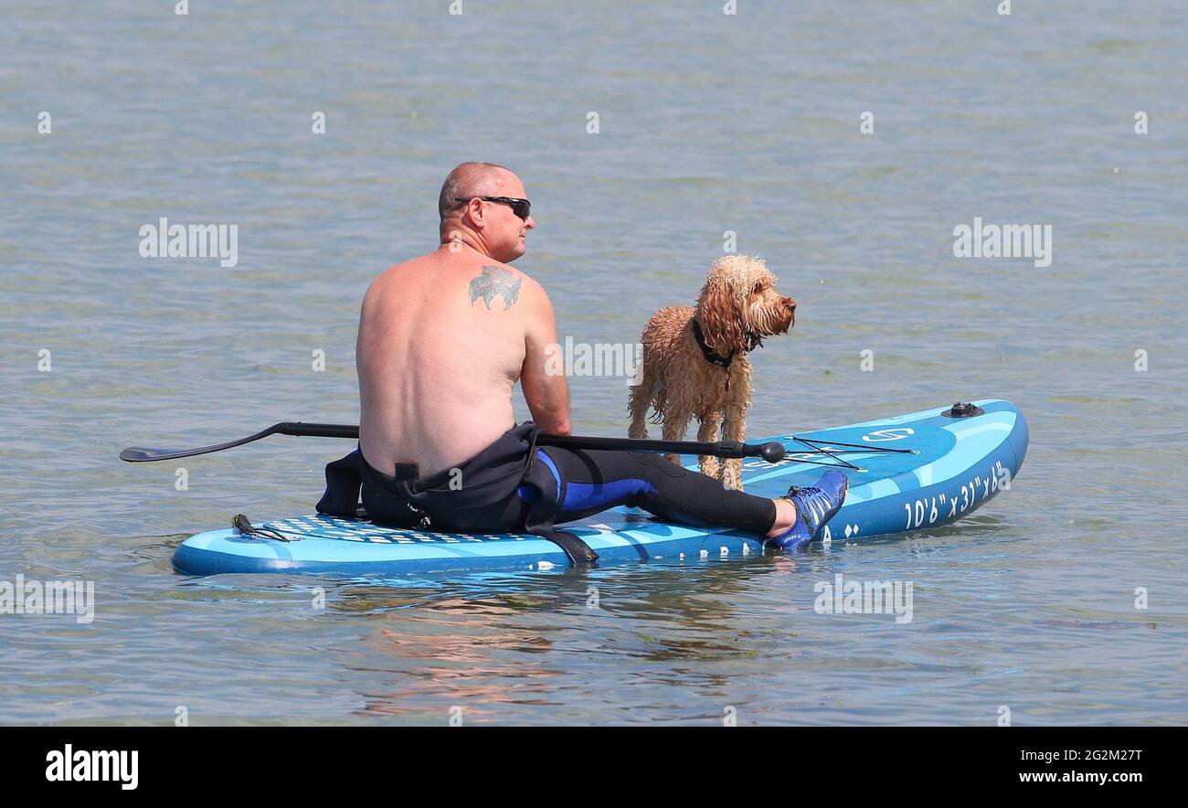 New Forest, Hampshire. 12th June 2021. UK Weather. A man and his dog cool off in The Solent off Calshot Beach as temperatures reach 22 degrees centigrade. Credit Stuart Martin/Alamy Live News Stock Photo