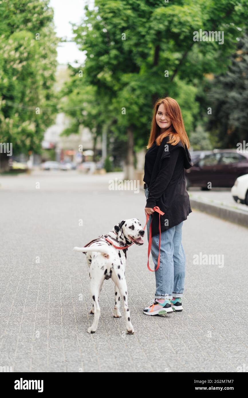 View of young Caucasian female cynologist walking at city urbanity during morning time for training dalmatian dog, plus size female spending leisure with pet best friend enjoying weekend at street Stock Photo