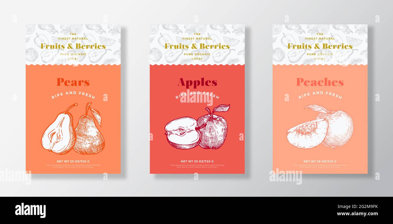 Local Fruits Pattern Label Templates Set Vector Packaging Design Layout Collection Modern Typography Banner With Hand Drawn Paers Apples And Peach Stock Vector Image Art Alamy